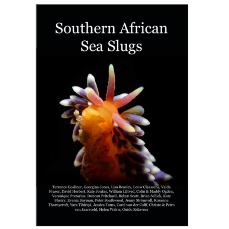 Southern African Sea Slugs