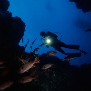 Night Diver Course