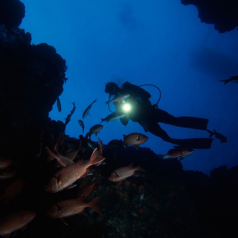Night Diver Course