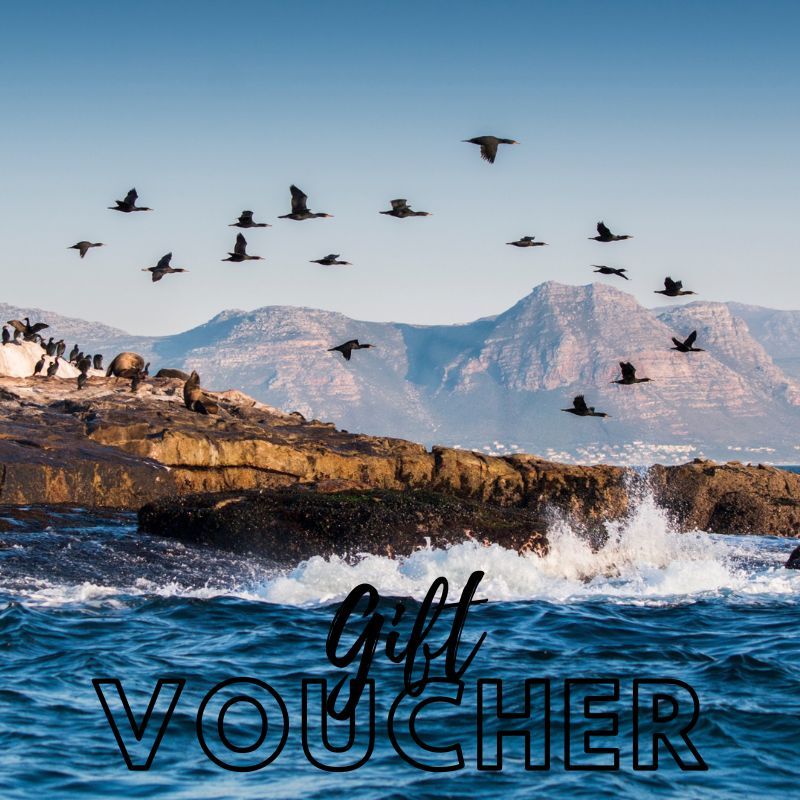 Gift Card - Image 4