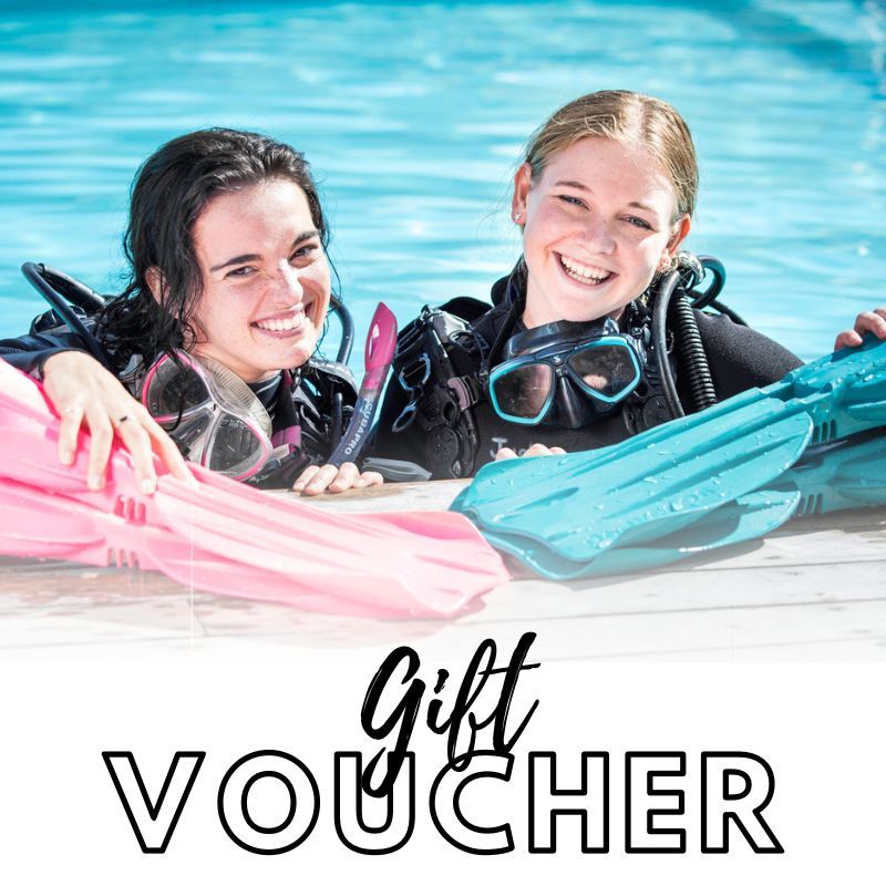 Gift Card - Image 5