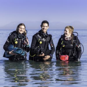 Shore Dives