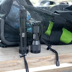 Dive Lights