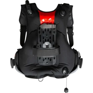 solid-plus-b-c-d#2.jpg. Solid Plus B.C.D.