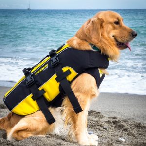 Life Jackets