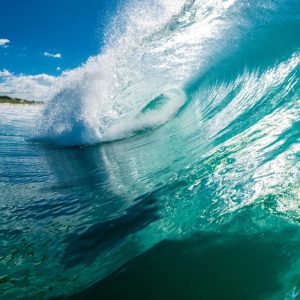 Surf