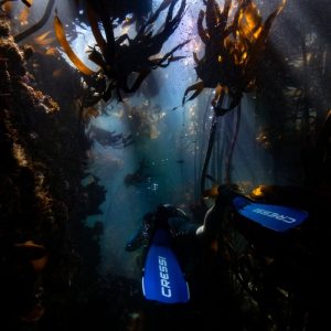 Underwater Sports
