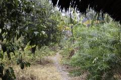Chole-island-day-trip7