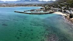 seasafarisnorkelexperiencegordonsbayharbour