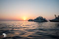 red-sea-diving-north16