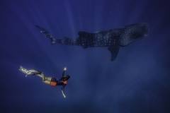 DivehighlightsStHelenaIsland5