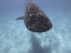 DCIM100GOPROGOPR1122.JPG