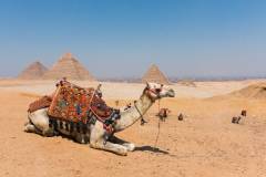cairo_2