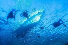 red-sea-diving-south_5