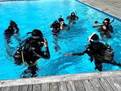 JustAfricaScubaPADIIDCfacilities-GordonsBay8