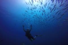 Madagascar_diving_4