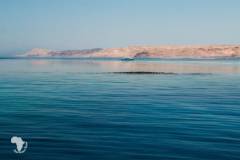 red-sea-diving-north13