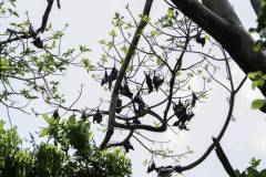 Chole-island-day-trip 8