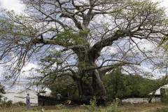 Chole-island-day-trip 11
