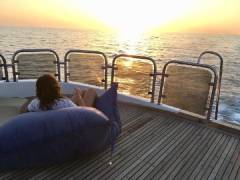 red-sea-diving-south_6
