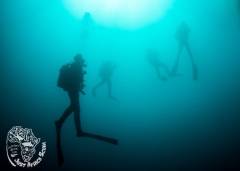 Sodwana_Bay_Scuba-diver_1