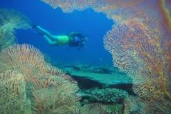 Madagascar_diving_2