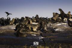JustAfricaScubaPADICareerDevelopmentProgram-Gallery35