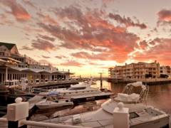 JustAfricaScubaPADIIDCfacilities-GordonsBay12