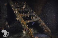 PMBShipwreck