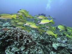 DCIM100GOPROGOPR1127.JPG