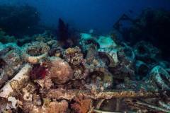 red-sea-diving-north3