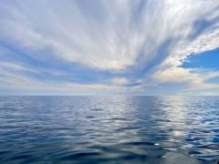 seasafarisnorkelexperiencescenicseaandclouds